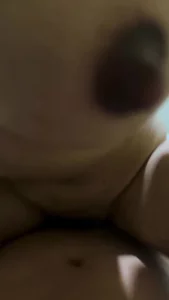 印度尼西亚大花马